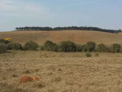 Imagem da Fazenda Pinheiros