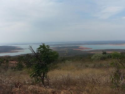 Consultoria Ambiental