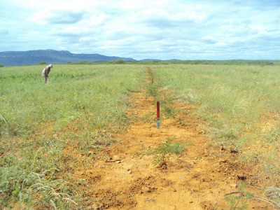 Projeto de recuperação de área preservada